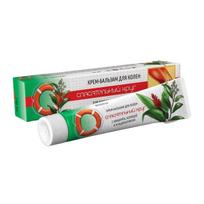 Kremas-balzamas keliams su imbieru, cinamonu ir chondroitinu Gelbėjimo ratas®, 50g