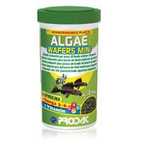 Prodac Algae Wafers Mini augalinės tabletės žuvims 7-8mm 250ml 135g