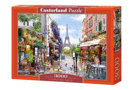 Dėlionė Puzzle Castorland Flowering Paris, 3000 det.