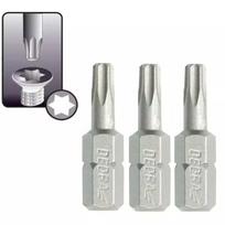 Atsuktuvo antgaliai Torx T40x25mm, 3vnt.