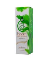 Hennaplus dažantis šampūnas Colour Boost Silver sidabro
