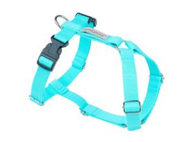 Amiplay reguliuojamos petnešos Guard Samba, L, Turquoise
