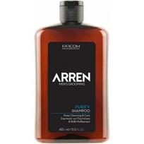 Giliai valantis šampūnas vyrams Farcom Professional ARREN Men's Grooming Purify Shampoo, 400 ml