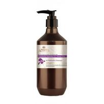 Atstatomasis plaukų šampūnas Angel Iris Restorative Shampoo, 400 ml