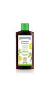 Švelnus šampūnas su citrina ir dilgėle riebiems plaukams I Provenzali Lemon and Nettle, 250 ml