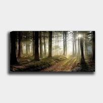 Reprodukcija ant drobės Miškas, 50x120 cm