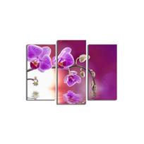 Trijų dalių reprodukcija Purpurinė orchidėja