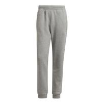 Sportinės kelnės vyrams Adidas Essentials M H34659, pilkos