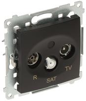 GALUTINIS LIZDAS DASK.01/49-SIMON54 R-TV SAT