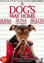 DVD filmas Belos kelionė namo, 2018