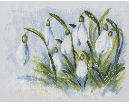 Siuvinėjimo kryželiu rinkinys, RTO, 25x19 cm