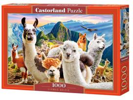 Dėlionė Castorland Puzzle Liamas Selfie, 1000 d.