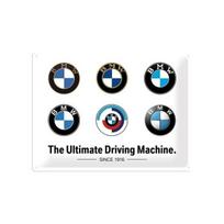 Metalinė plokštė 30 x 40 cm / BMW - Evolution logotipas