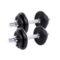 Svarmenų rinkinys Songmics SYL20T, 2x10 kg