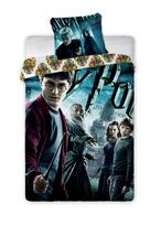 Vaikiškas patalynės komplektas Harry Potter, 160x200, 2 dalių