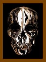 Knyga Alexander McQueen: Savage Beauty