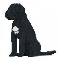 Cane Corso S01