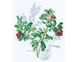 Siuvinėjimo kryželiu rinkinys, RTO, M941, 20х24 cm