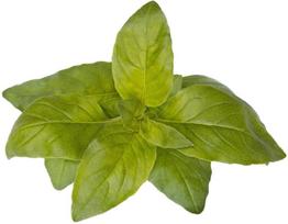 Laimo bazilikas Smart Garden Click & Grow, 3 vnt