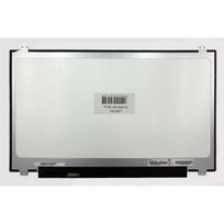 Ekranas 17.3", 1600x900, 60Hz, blizgus, 30pin, kairėje, IPS