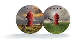 Vinilinė plokštelė LP Rush - Signals, Picture Disc, 40th Anniversary, Limited Edition