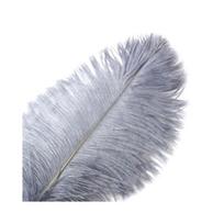 Stručio plunksna, 26-28 cm, pilka