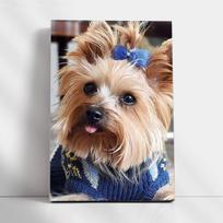 Tapyba pagal skaicius TM Varvikas Fluffy fashionista MC1130e 20x30 cm