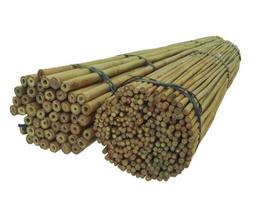 Bambukinės lazdos 150 cm 12/14 mm, 100 vnt.