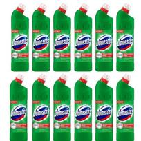 Domestos tualeto valiklis Pine Fresh, 1000 ml x 12 vnt