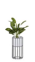 Modernus gėlių stovas su korpusu Loft, 42 cm
