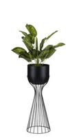 Modernus gėlių stovas Loft, 56 cm
