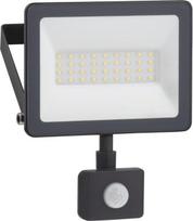 LED prožektorius Mureva 20W su judesio davikliu
