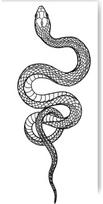 Laikinoji tatuiruotė TATTOOSHKA Snake 10 cm