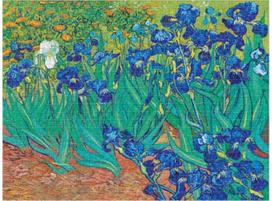 Dėlionė PAPERBLANKS Van Gogh’s Irises