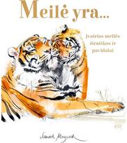 Meilė yra... - Lily Murray