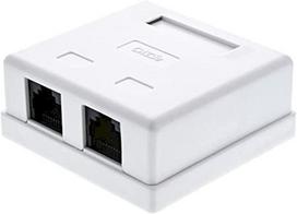 Virštinkinė rozetė RJ45