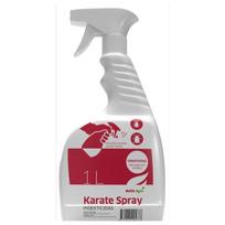 KARATE SPRAY INSEKTICIDAS 1 l