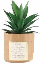 Dirbtinis sukulentas vazonėlyje KIND, 16 cm