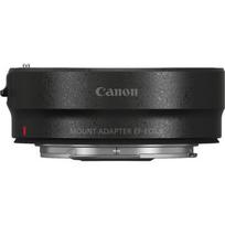 Canon EOS R8 + RF 800mm f/11 IS STM + Mount Adapter EF-EOS R