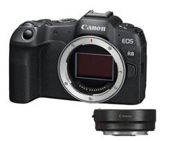 Canon EOS R8 + Mount Adapter EF-EOS R