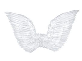 Sparnai Angel's Wings, balti, 75x45 cm, 1 pak/1 vnt