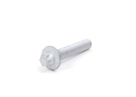 Tepalo filtro korpuso varžtas BMW 11427540763, 1 vnt.
