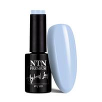 Ilgalaikis gelinis nagų lakas NTN Premium UV/LED, 06, 5 g