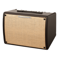 Ibanez T30II Acoustic Combo Akustinės gitaros stiprintuvas
