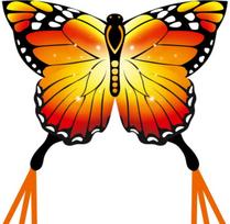 Aitvaras ECOLINE: Butterfly Kite Monarch - drugelis monarchas