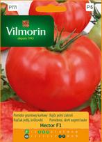 Nykštukinio lauko pomidoro Hector F1 sėklos 0,1g - VILMORIN