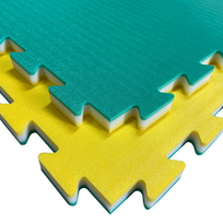 Grindų Danga Tatami K20S Geltona Žalia 100x100x2cm Tankis 100 kg/m³