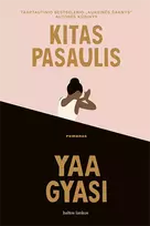 Kitas pasaulis - Yaa Gyasi