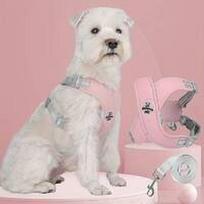 Petnešos su pavadėliu "Duomm Pet Pink"