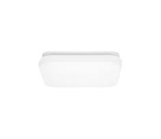 Ecolite W3094-12W - LED lubinis vonios šviestuvas LUKY LED/12W/230V IP44